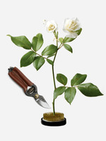 Niwaki Mini Secateurs & Kenzan Bundle  Niwaki Mini Secateurs & Kenzan Bundle