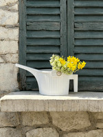 Hachiman Garden Beetle Watering Can - Green  Hachiman Garden Beetle Watering Can - Green