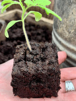 Ladbrooke Soil Blocker - Micro 20 