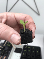 Ladbrooke Soil Blocker - Micro 20 