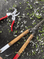 Kamaki Pruning Shear 888 