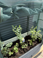 Gubba Raised Garden with Dual Covers  Gubba Raised Garden with Dual Covers