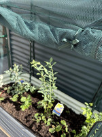 Gubba Raised Garden with Dual Covers  Gubba Raised Garden with Dual Covers