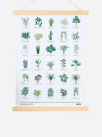 Another Studio House Plant Poster - A3 