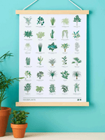 Another Studio House Plant Poster - A3 