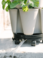 GreenStalk 5 Tier Original Vertical Planter 