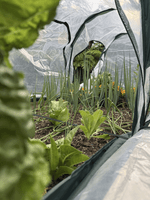 Gubba Poly Tunnel 3m x 1m Cover - Dual Side Openings 