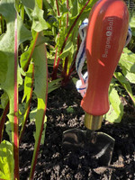 Burgon and Ball Collector Transplanter - Red 