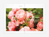  The Floral Dream - Olivia McCord 