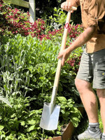Sneeboer Border Spade T-Handle  Sneeboer Border Spade T-Handle
