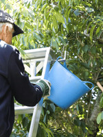 Landquip Allite Ladder - 10 Feet (2.95m) 