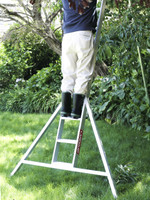 Landquip Allite Ladder - 12 Feet (3.48m)  Landquip Allite Ladder - 12 Feet (3.48m)