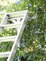 Landquip Allite Ladder - 9 Feet (2.7m)  Landquip Allite Ladder - 9 Feet (2.7m)