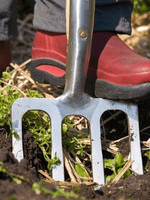 Sneeboer Border Fork 4 Tine Luxe 