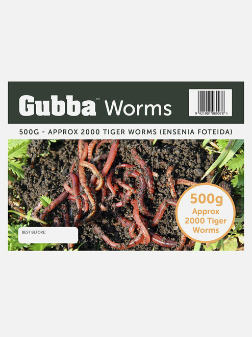 Gubba Tiger Worms Gubba Tiger Worms
