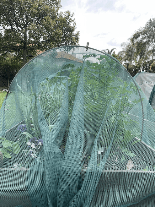 Insect Netting | Shop Now | Gubba