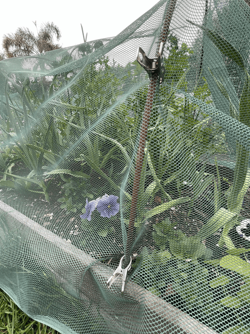 Insect Netting | Shop Now | Gubba