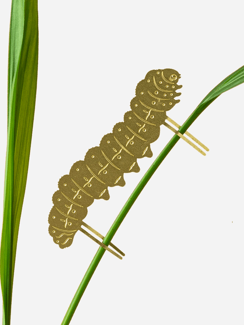 Another Studio Plant Animal Caterpillar  Another Studio Plant Animal Caterpillar
