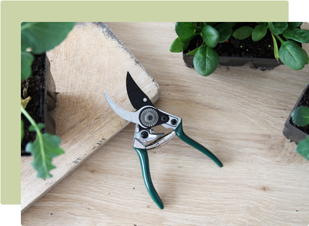 Tool Maintenance: How To Clean Garden Tools & Pruning Shears