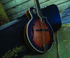 Washburn M118SWK Americana Series All-Solid F-Style Mandolin