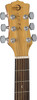 Luna Dreadnought Acoustic Guitar, Woodland Bamboo (WL BAMBOO DREAD)