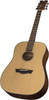 Dean Guitars 6 String Dean AXS Prodigy Acoustic Guitar Pack-Gloss Natural PDY GN PK