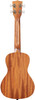 Kala 4-String Concert Ukulele, Right-Handed - Natural (KA-COURAGE-C_W/BAG)