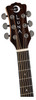 Luna GYP E ZBR Acoustic-Electric Guitar, Gloss Natural