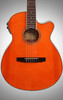 Ibanez AEG10NII Nylon String Cutaway Acoustic-Electric Guitar Tangerine