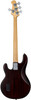 Sterling by Music Man StingRay Ray4 Bass Guitar in Walnut Satin