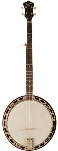 Recording King RKH-05 Dirty Thirties Resonator Banjo