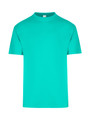 Fruit Green Plain Alex unisex T-shirt with a regular fit, made from 100% pre-shrunk cotton jersey, a versatile blank tee for bulk purchase and promotional printing.
