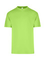 Lime Plain Alex unisex T-shirt with a regular fit, made from 100% pre-shrunk cotton jersey, a versatile blank tee for bulk purchase and promotional printing.