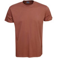 Terracotta rust coloured crew neck t-shirt with short sleeves and smooth cotton fabric finish