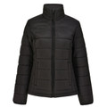 Black ladies quilted puffer jacket with stand collar, centre zip and side pockets — flat lay packshot
