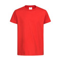 Bright red crew neck t-shirt with short sleeves and smooth flat front panel ideal for decoration