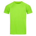 Men's Active 140 Raglan T-Shirt - Kiwi Green