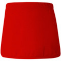 Plain A-line Sport Skort with Short - Back