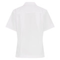 White short sleeve school blouse rear view showing shaped hem and back yoke panel