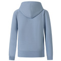 Sky blue cotton-rich zip-up hoodie with lined hood shown from rear, featuring ribbed cuffs and hem