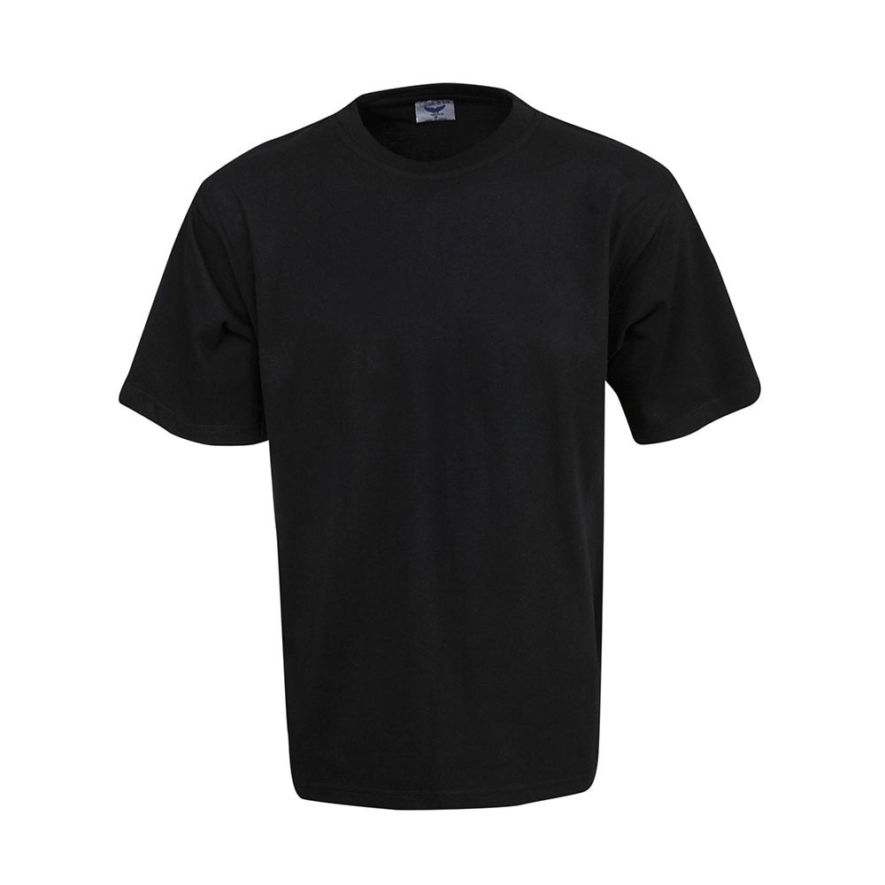 Plain Premium Cotton T-Shirts | Blank 