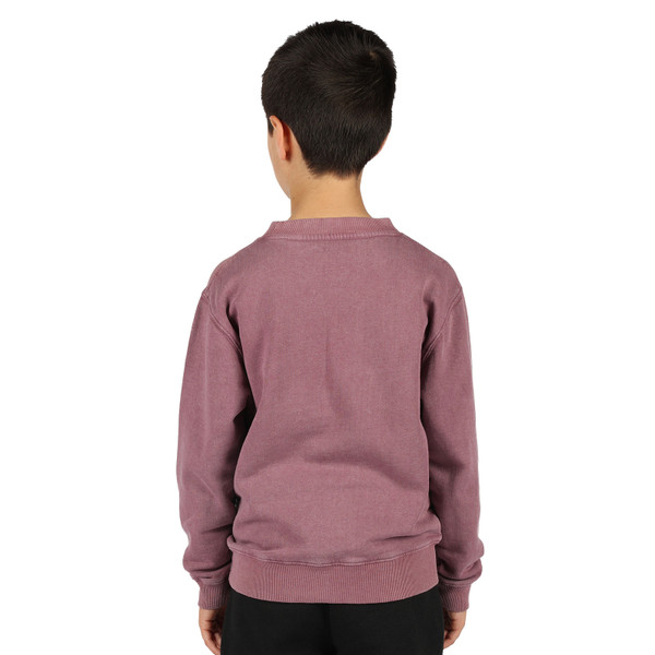 Back view of child wearing dusty mauve stone-washed crew neck sweatshirt with ribbed cuffs and hem