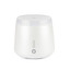 Lively Living Aroma Elm Diffuser - White Metallic (Light transparent lid)