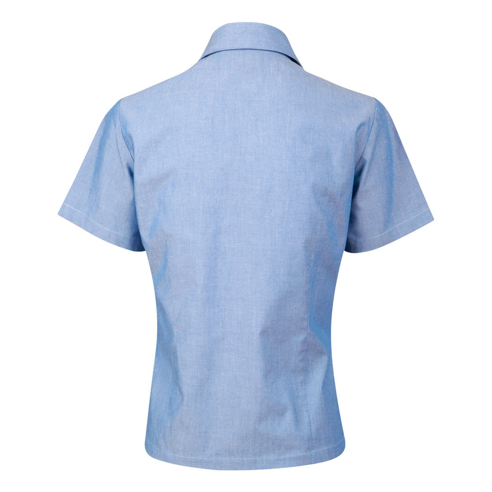 Back view of ladies pale blue chambray short sleeve shirt with fold-down collar and tailored fit