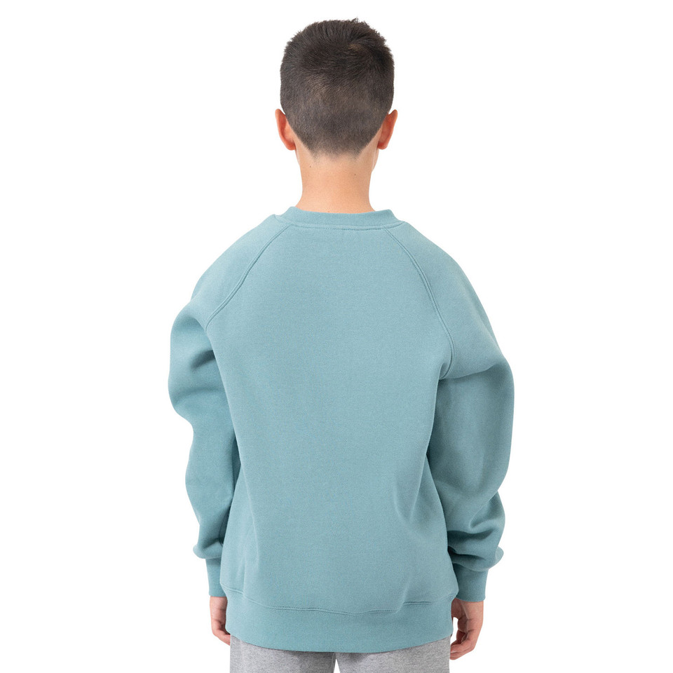 Back view of sage blue fleece sweater with raglan sleeves and ribbed cuffs on child model