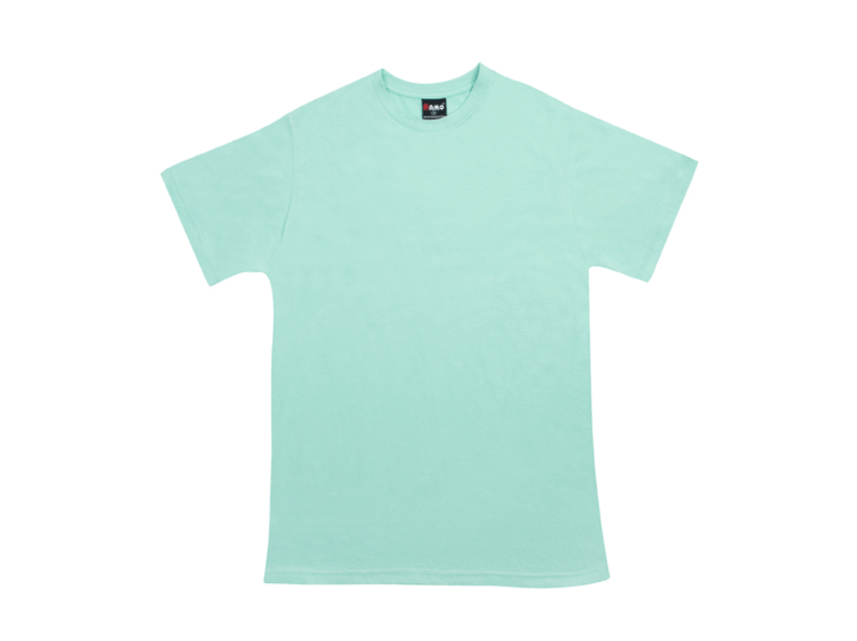 Bulk Buy Men's American Style T-Shirt Fresh Mint Bulk Buy Men's American Style T-Shirt Fresh Mint