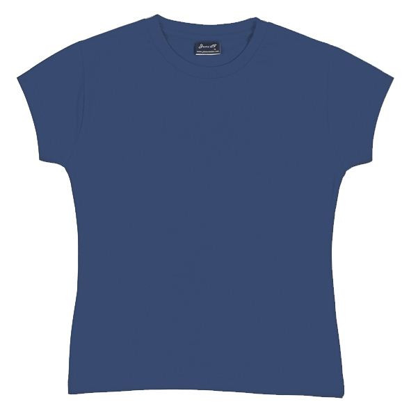 Steel blue ladies fitted crew neck t-shirt, short sleeves, smooth cotton front panel, packshot