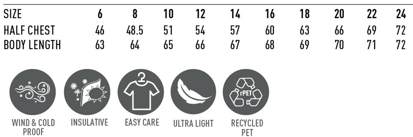 Ladies Sustainable Softshell Recycled Corporate Jacket-size.jpg