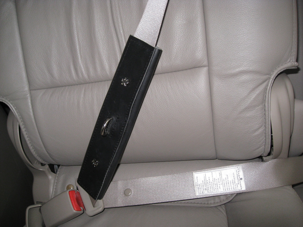 Seat belt Shoulder Attached