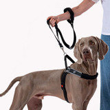 Forza NO PULL Harness